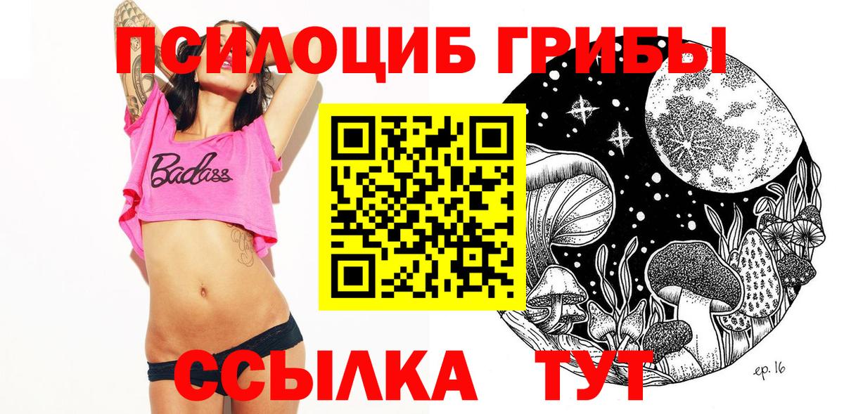 где купить наркотик  Вход с VPN  Галлюциногенные грибы Psilocybine cubensis  Ейск  Псилоцибиновые грибы ЛСД 