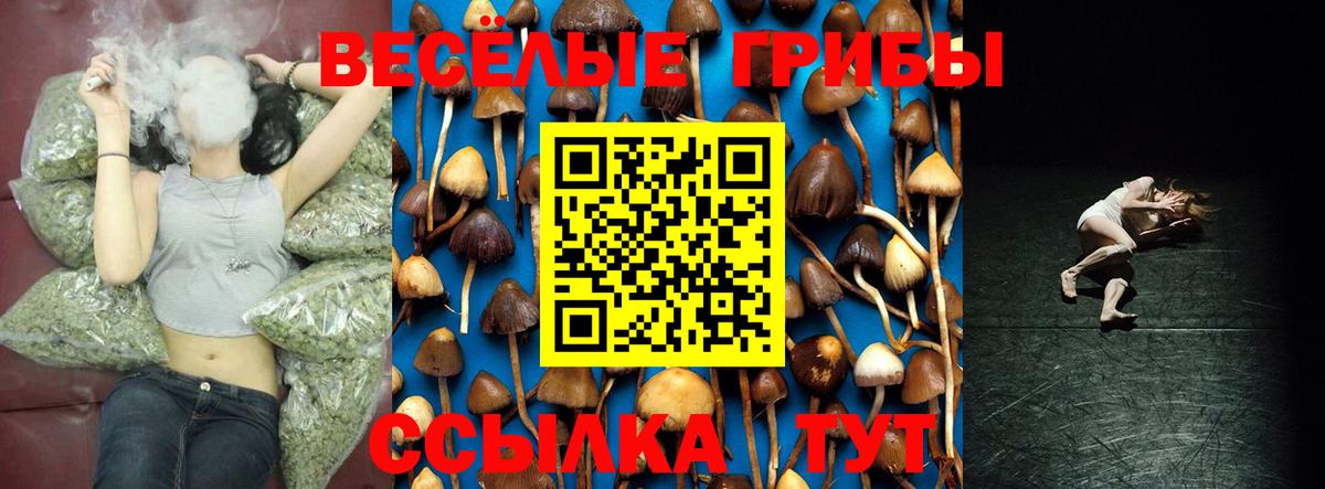 Псилоцибиновые грибы мицелий Ейск